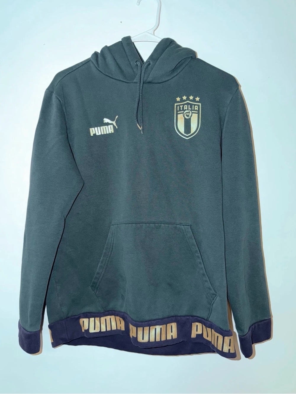 Puma Italia Hoodie